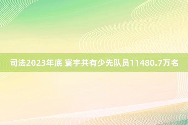 司法2023年底 寰宇共有少先队员11480.7万名