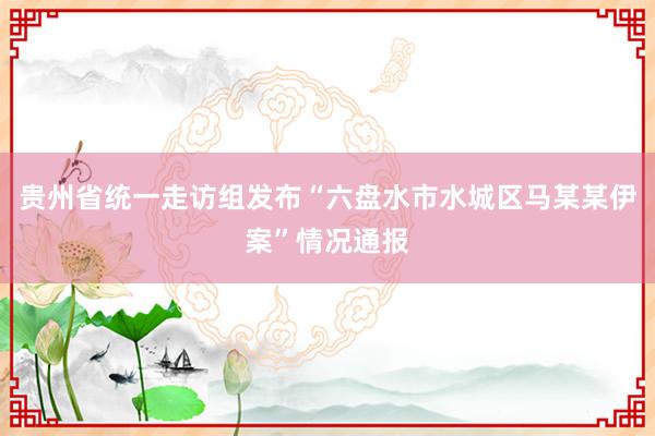 贵州省统一走访组发布“六盘水市水城区马某某伊案”情况通报